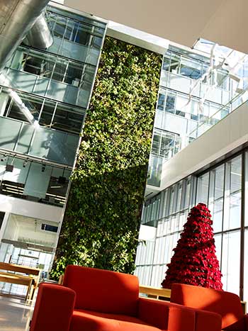 Corus Quay Living Wall