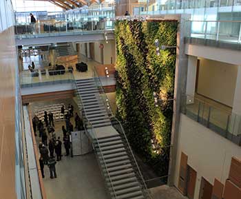 Windsor University Nedlaw Living Wall