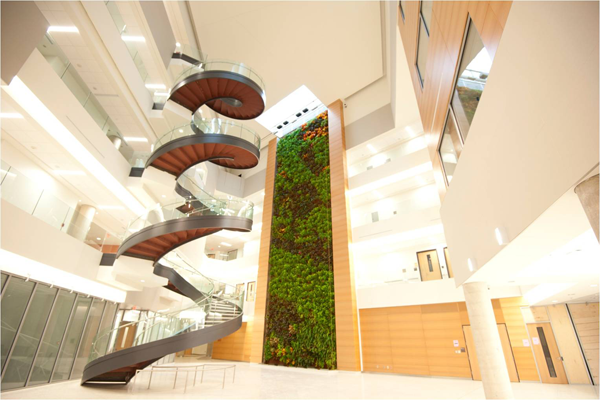 Living wall biofilter in the atrium at Drexel University